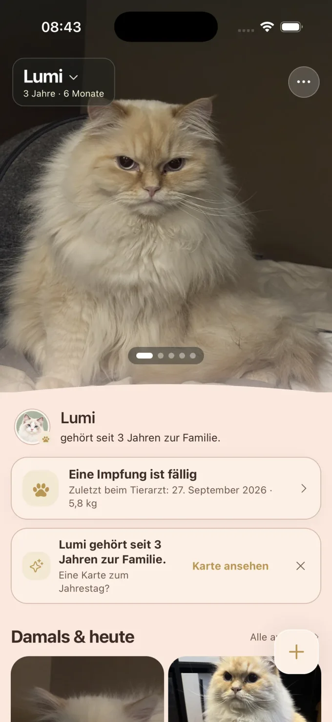 Pets Are Family: Lumi, seine Chronik und wichtige Gesundheitsinformationen